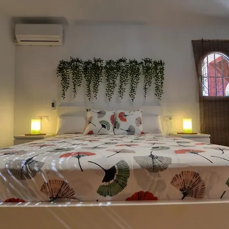 House Nyaraló *